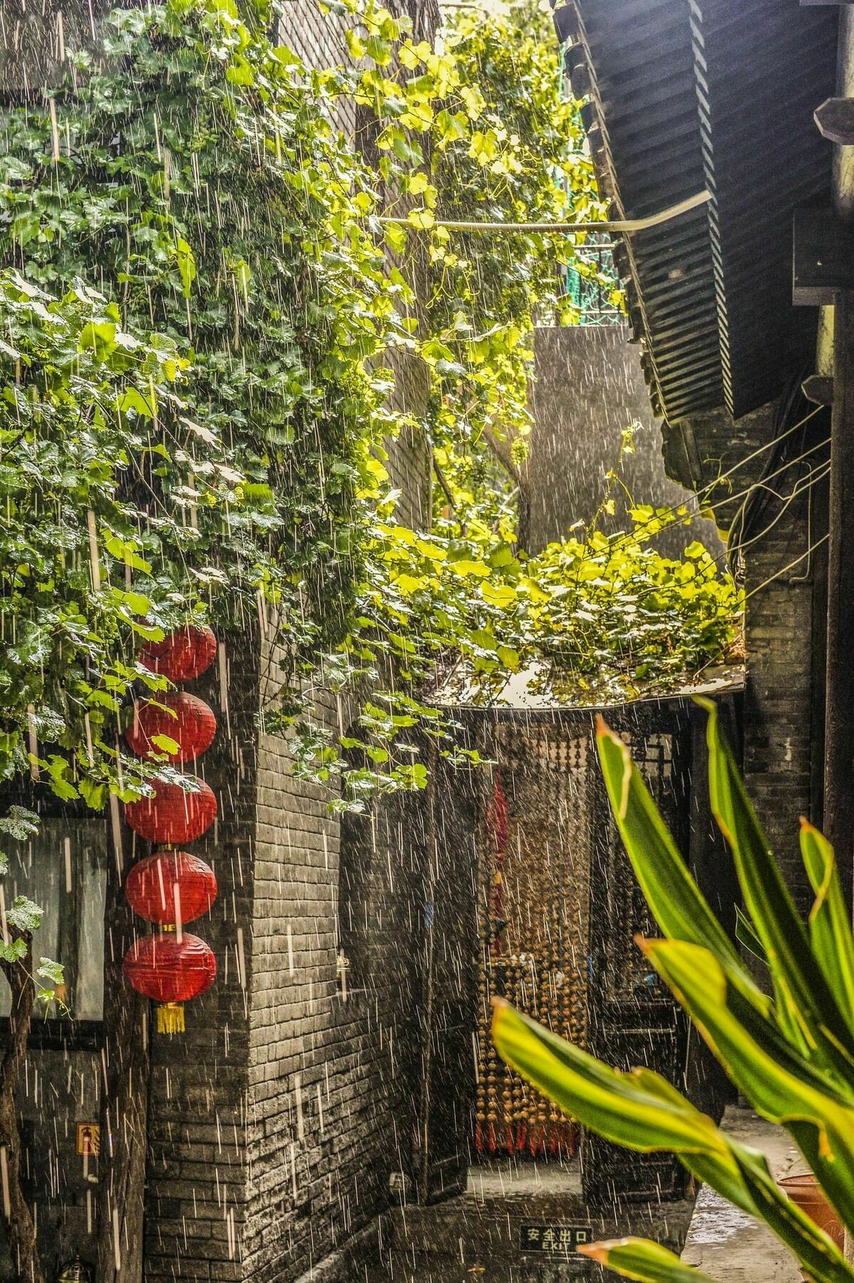 Hill Lily Courtyard Hotel Пекин Екстериор снимка